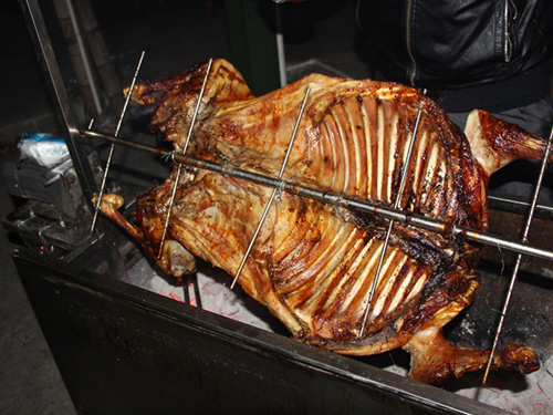 拓展訓(xùn)練營