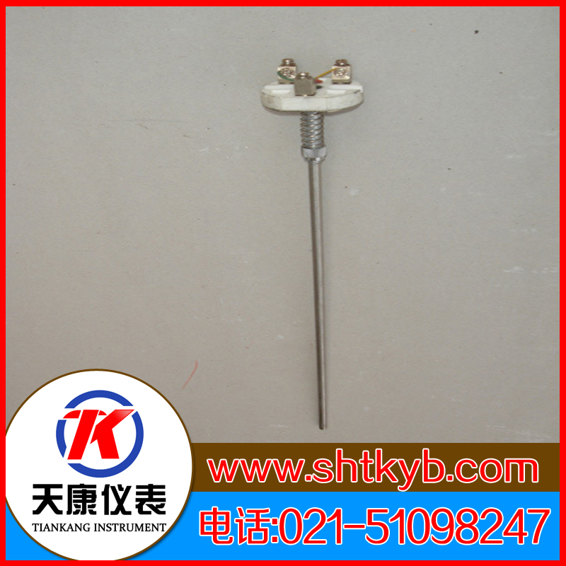 熱電偶感溫元件WRM-101