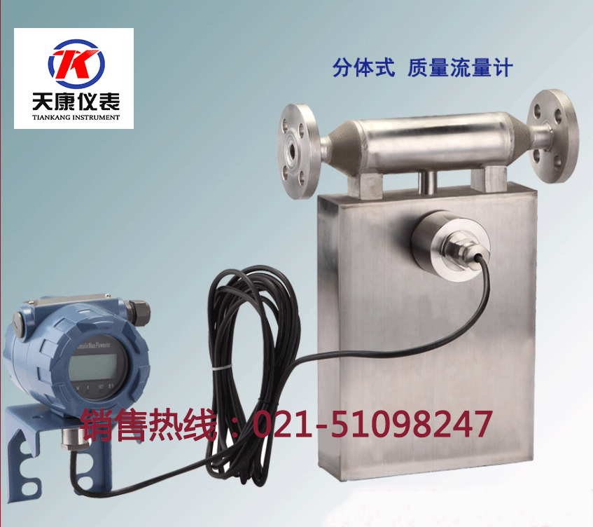 分體式質(zhì)量流量計