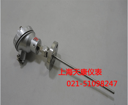裝配式熱電阻WZC-331